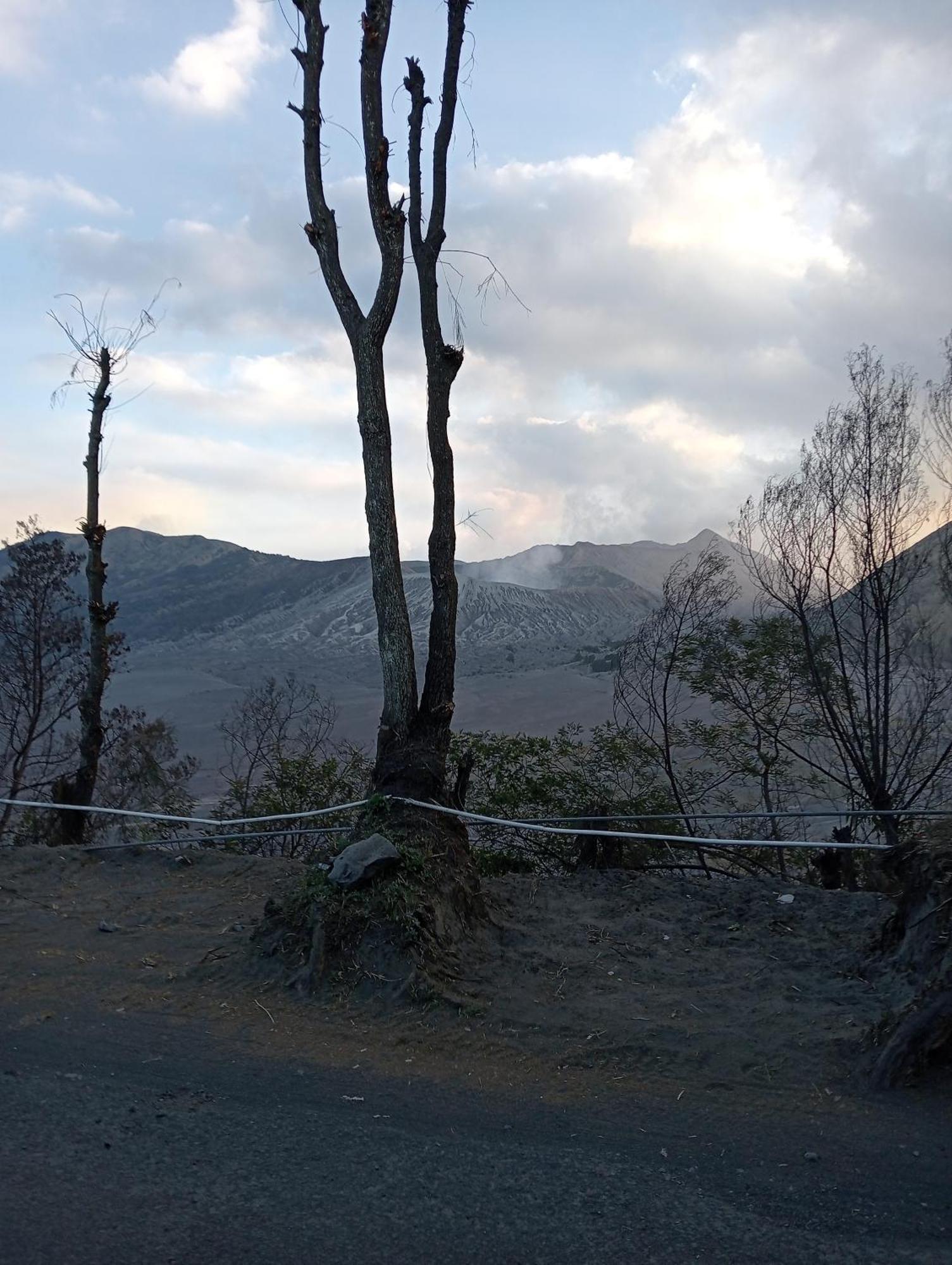 Mentigen Homestay Ngadisari Εξωτερικό φωτογραφία