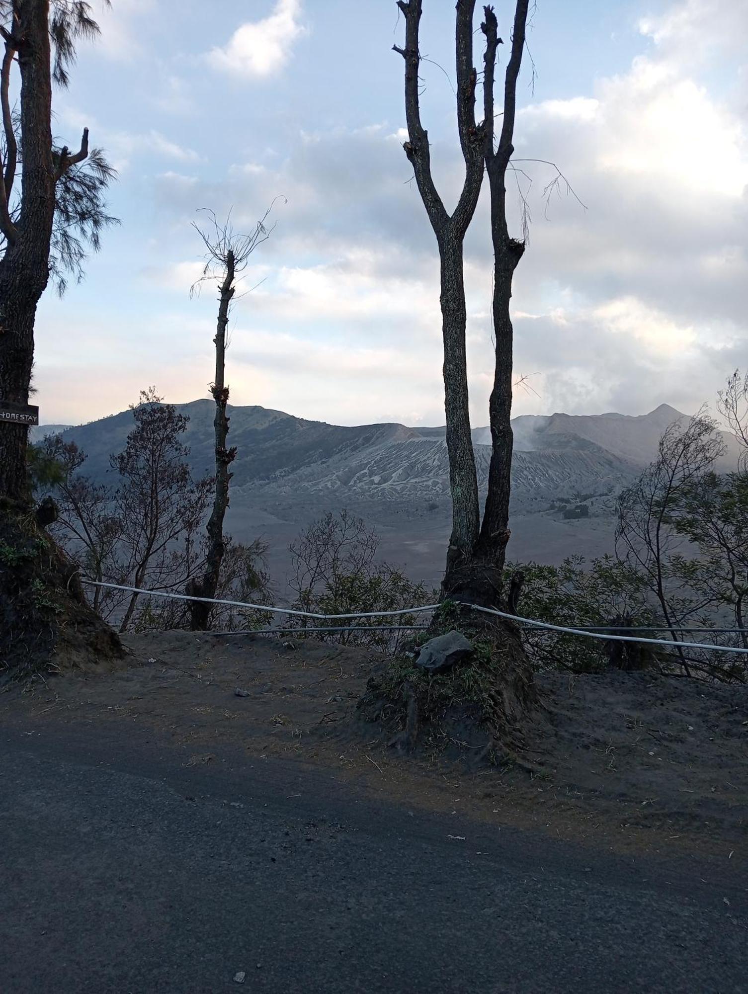Mentigen Homestay Ngadisari Δωμάτιο φωτογραφία