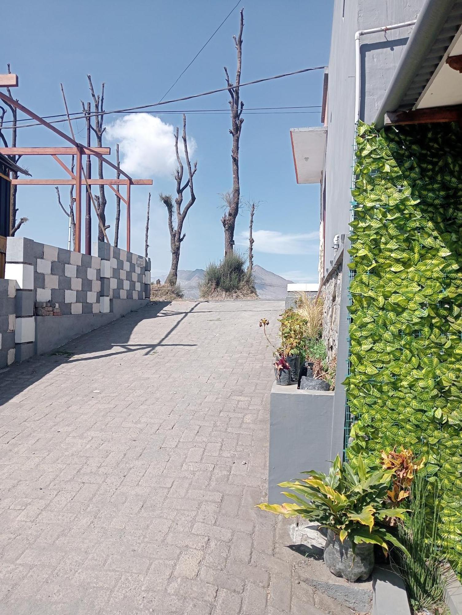 Mentigen Homestay Ngadisari Εξωτερικό φωτογραφία
